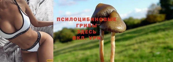 первитин Алексин