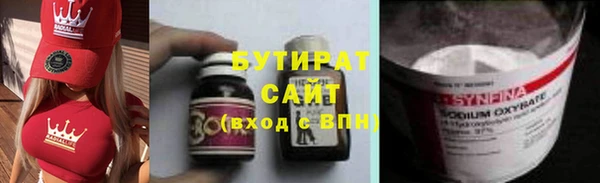 прущие грибы Алзамай