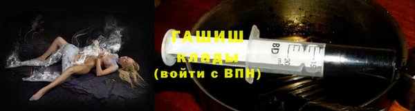 прущие грибы Алзамай