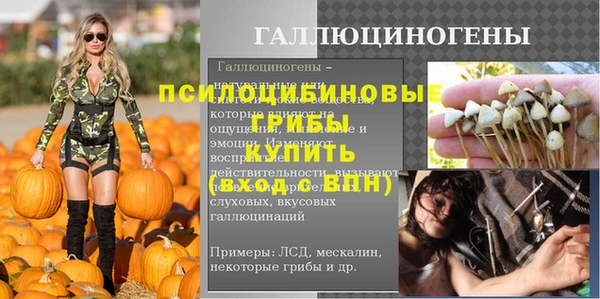 прущие грибы Алзамай