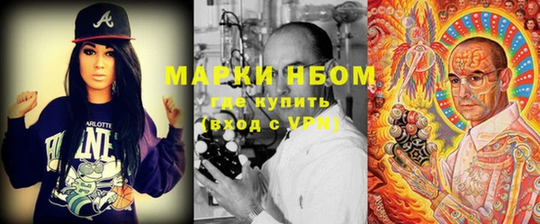 ГАЛЛЮЦИНОГЕННЫЕ ГРИБЫ Тавда